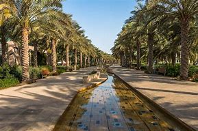 Image result for Sahra Pics with Trees