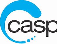 Image result for Casp RCT Logo