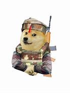 Image result for Captain Doge