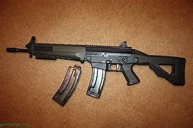 Image result for Sig Sauer 522