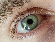 Image result for Green Eyes with Yellow Star