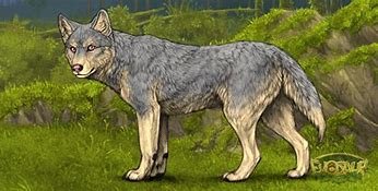 Image result for Grey Dire Wolf