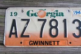 Image result for Peach License Plate