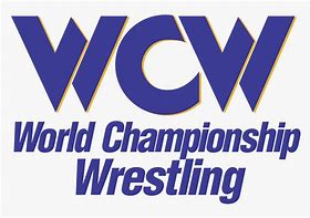 Image result for World Series Wrestling Logo