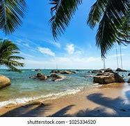 Image result for Shutterstock Copyright Free Images