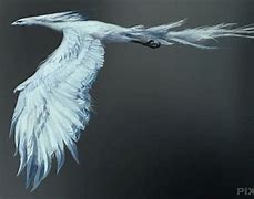 Image result for Mythical Ice Bird