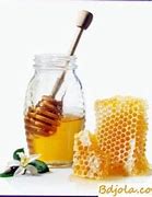 Image result for Honey Mold