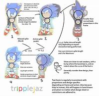 Image result for Sonic Anatomy