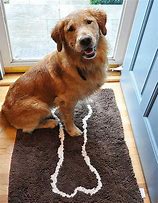 Image result for Dog Paw Cleaning Mat