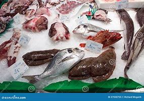 Image result for Fish Monger Ari