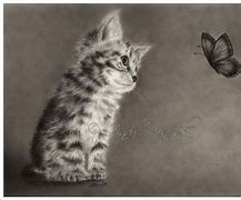 Image result for Cat and Butterfly Wallpaper