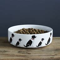 Image result for Dog Eat Bowl