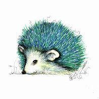 Image result for Blue Girl Hedgehog