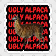 Image result for Ugly Alpaca