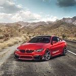 Image result for Drip Cat in BMW M4 PFP