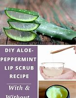 Image result for Aloe Vera Lip Scrub