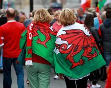 Image result for Welsh Rugby Union Makes