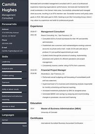 Image result for Consulting Resume Examples