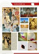 Image result for Eucharistic Miracle Legnica