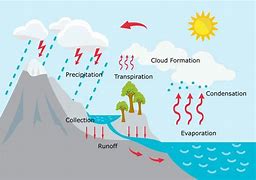 Image result for Water Cycle Illustration