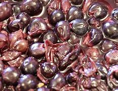 Image result for Yeast On Grapes