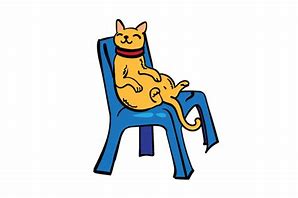 Image result for Cat On Chair