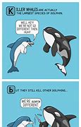 Image result for Animal Facts Comic Long