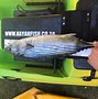 Image result for Katonkel Fish