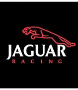 Image result for Jaguar Racing Logo