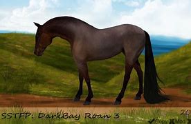 Image result for Light Bay Roan