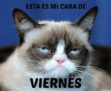 Image result for Viernes Meme