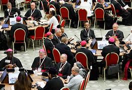 Image result for Synod Outfit