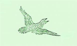 Image result for The Jian Bird