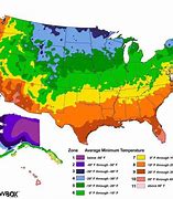 Image result for Flower Zones