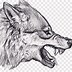 Image result for Fish Wolf Art