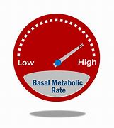 Image result for Metabolic Rate Calculator