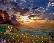 Image result for Second Nature Screensavers