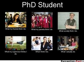 Image result for PhD Research Meme