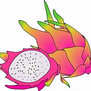 Image result for Buah Naga Merah Anima Si