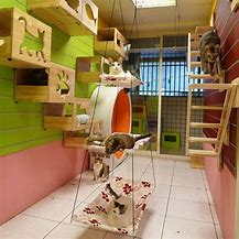 Image result for DIY Cat Furniture