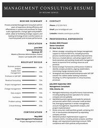 Image result for consulting resume