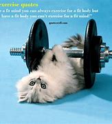 Image result for Funny Quotes About Exercise Motivation