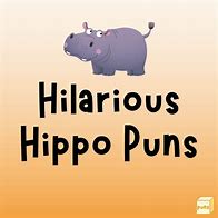 Image result for Hippo Puns