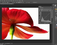 Image result for Adobe Photoshop Screenshots