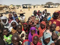 Image result for Abala AU Niger