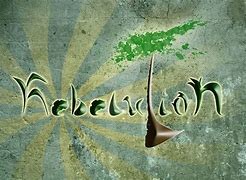 Image result for Rebelution Album