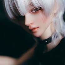 Image result for Miniature BJD