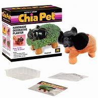 Image result for Classic Chia Pet