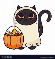 Image result for Halloween Ghost Cat