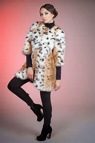 Image result for Lynx Fur